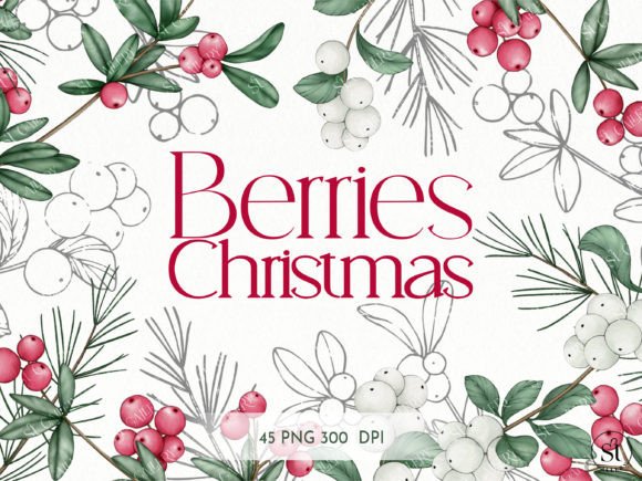 Water Colors of Christmas Berries: Seasonal Illustrations for Brand Design